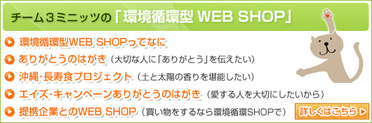 z^WEB SHOP